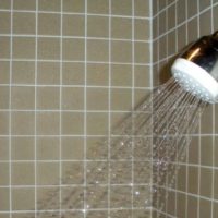 Shower head