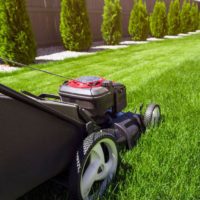 lawn mowing practise